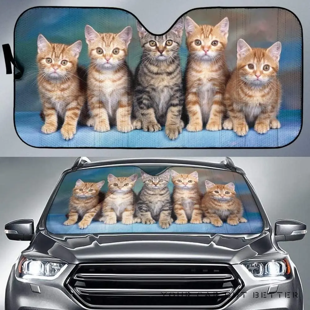 Cute Tabby Cats Sitting Together Image Print Car Sunshade, Cute Baby Cats Kittens Sitting Together Image Auto Sun Shade, Windshi