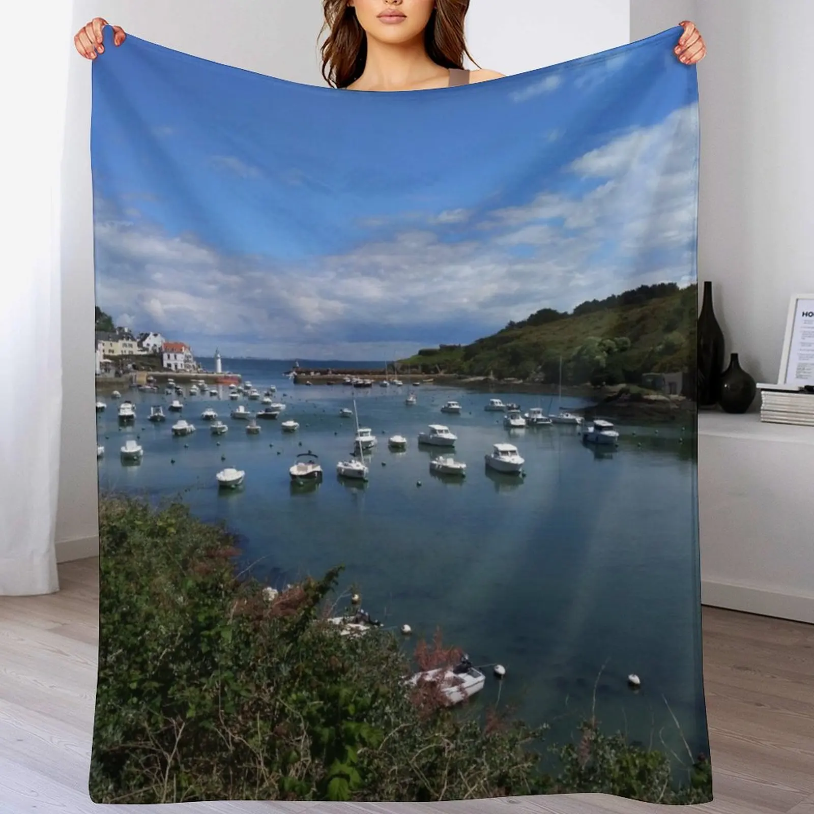 Copie de Niagara waterfall reunion island Throw Blanket Hairys Furrys Blankets