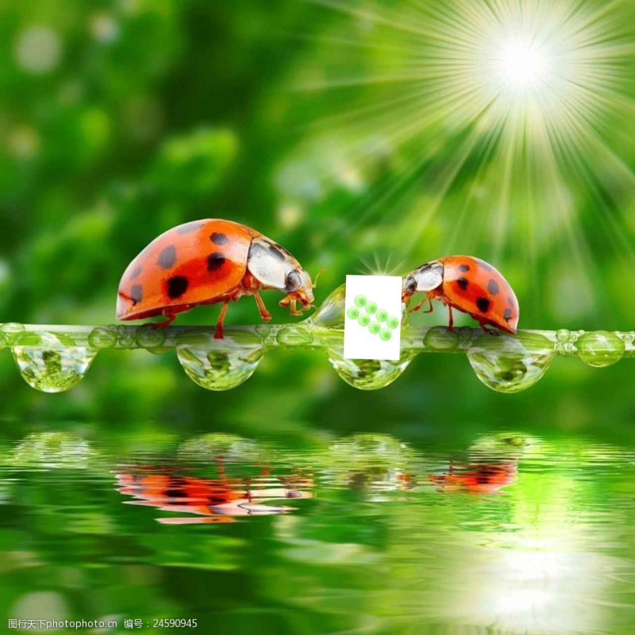 Gpm Anti-Oil Leakag…