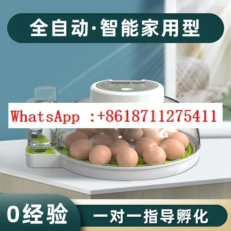 

Small flying saucer incubator Smart automatic parrot pigeon egg special incubator