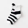 Black white panda
