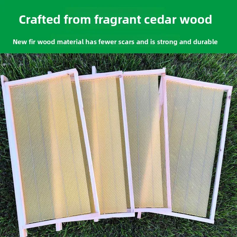 Standard Wooden Bee Hive Frames Pre-installed Comb Foundation Cedar Complete Beekeeping Tool For Apis Mellifera Apis Cerana