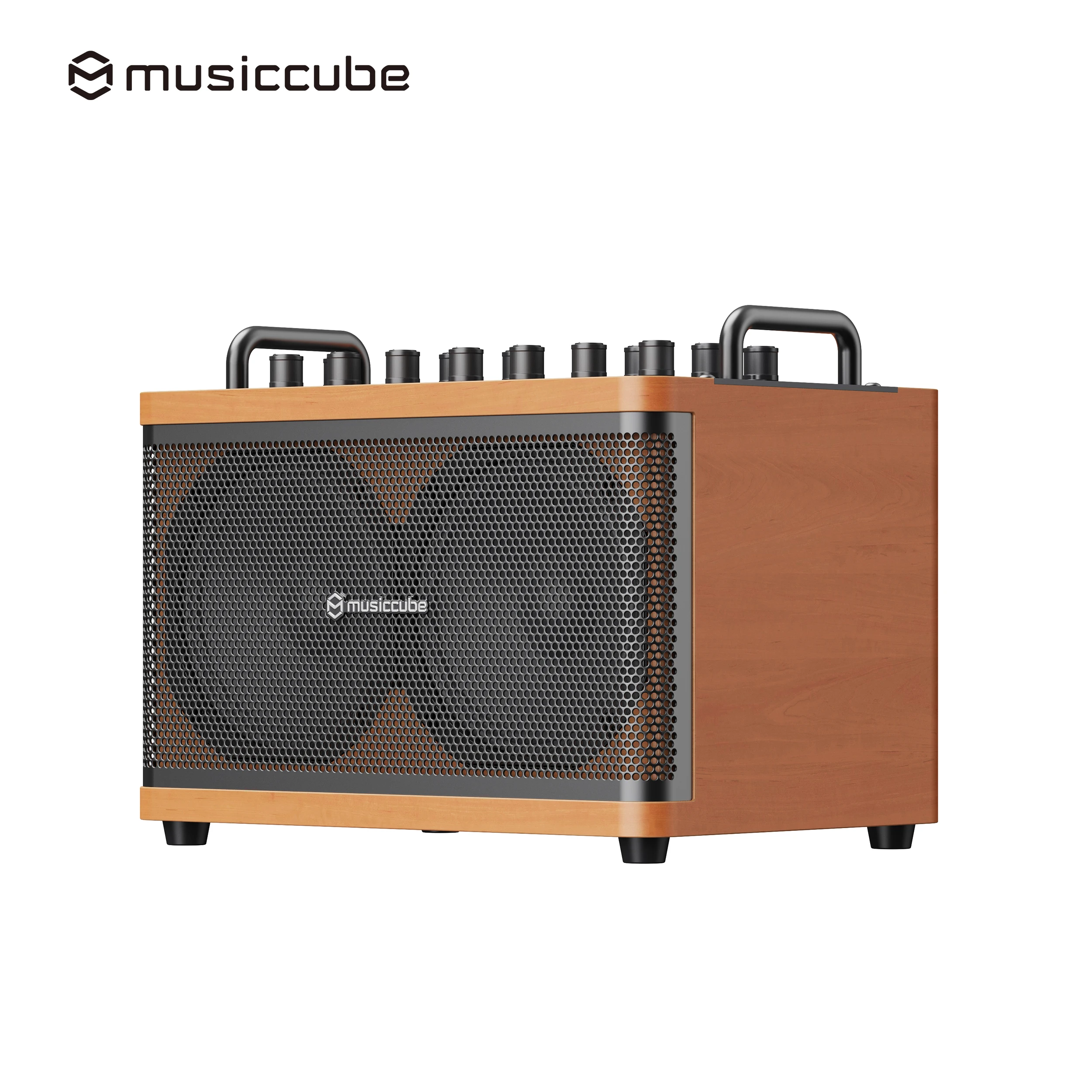 

D2MAX 100W Rechargeable Battery Guitar Amplifier /AUX For Street Busking Karaoke Two-Way Crossover PA System