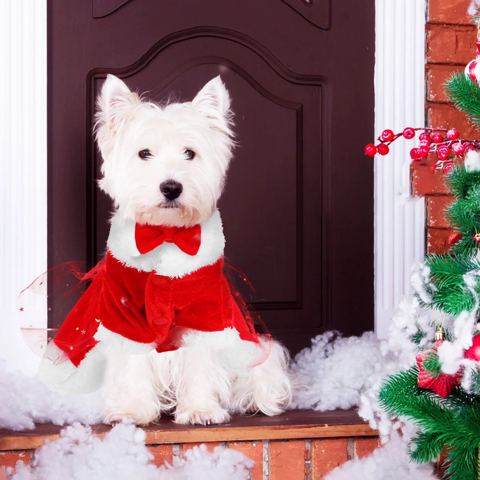 

1 set 1 Set Christmas Santa Claus Dress Puppy Holiday Party Outfit Pet Apparel Winter Clothes Bow Size S Santa Costume Christmas