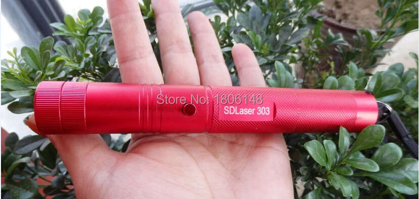 Mini 2 in1Cat Keychain Fun Pointer بدون بطارية مؤشر ليزر محمول LED التدريب الشعلة الحيوانات الأليفة القط دغدغة لعبة مصباح يدوي