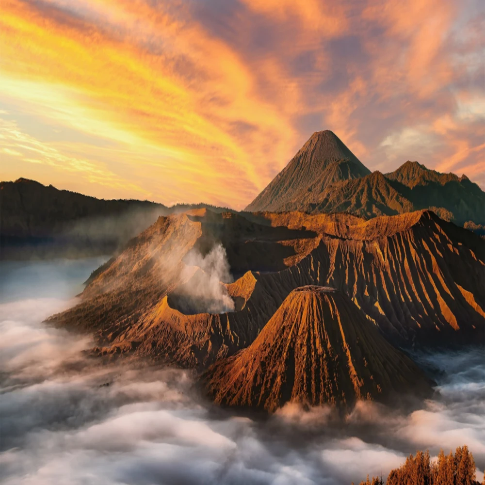 

C9344 Maintenance Box chip resetter For Epson XP-2100 2105 XP-3100 XP-3105 XP-4100 XP-4105 WF-2810 WF-2830 WF-2835 WF-2850