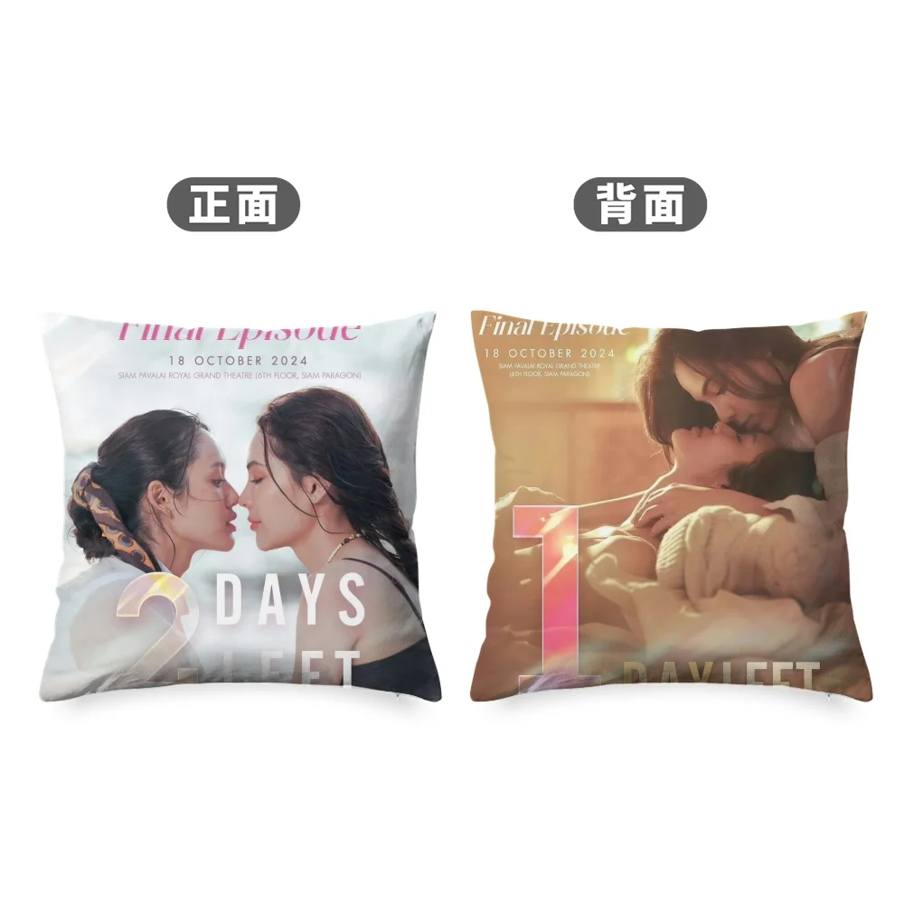 Thai TV Affair The Series Bed Pillow Cushion LMSY Lmlookmhee Sonyasarann Poster Double-side Different Print Pillowcase with Core