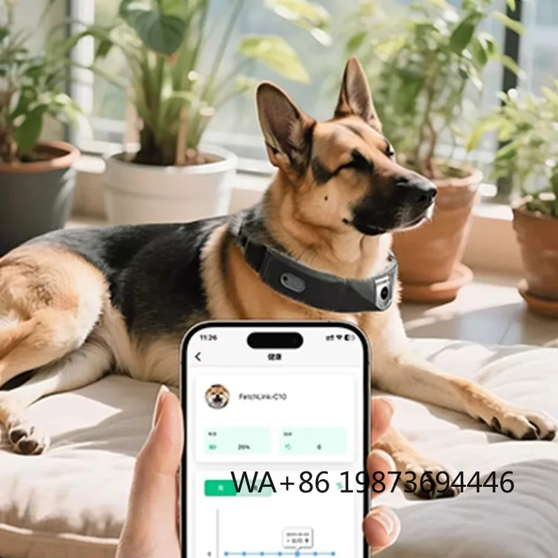 

Waterproof Dog GPS Collar APP Real Time Tracking