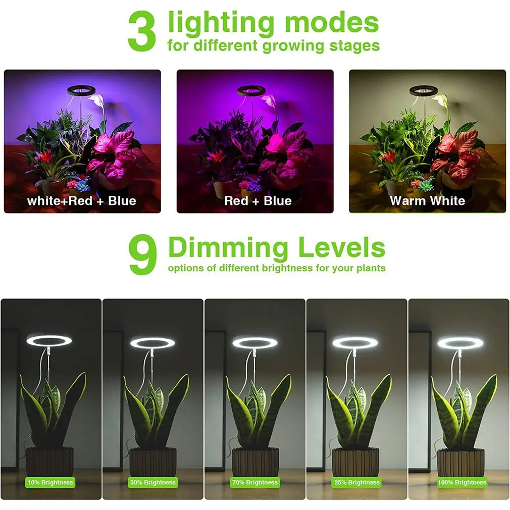 Grow Light Stable Full Spectrum Automatic Timer Height Adjustable Growing Lamp LED Plant Light Halo For Indoor Plant