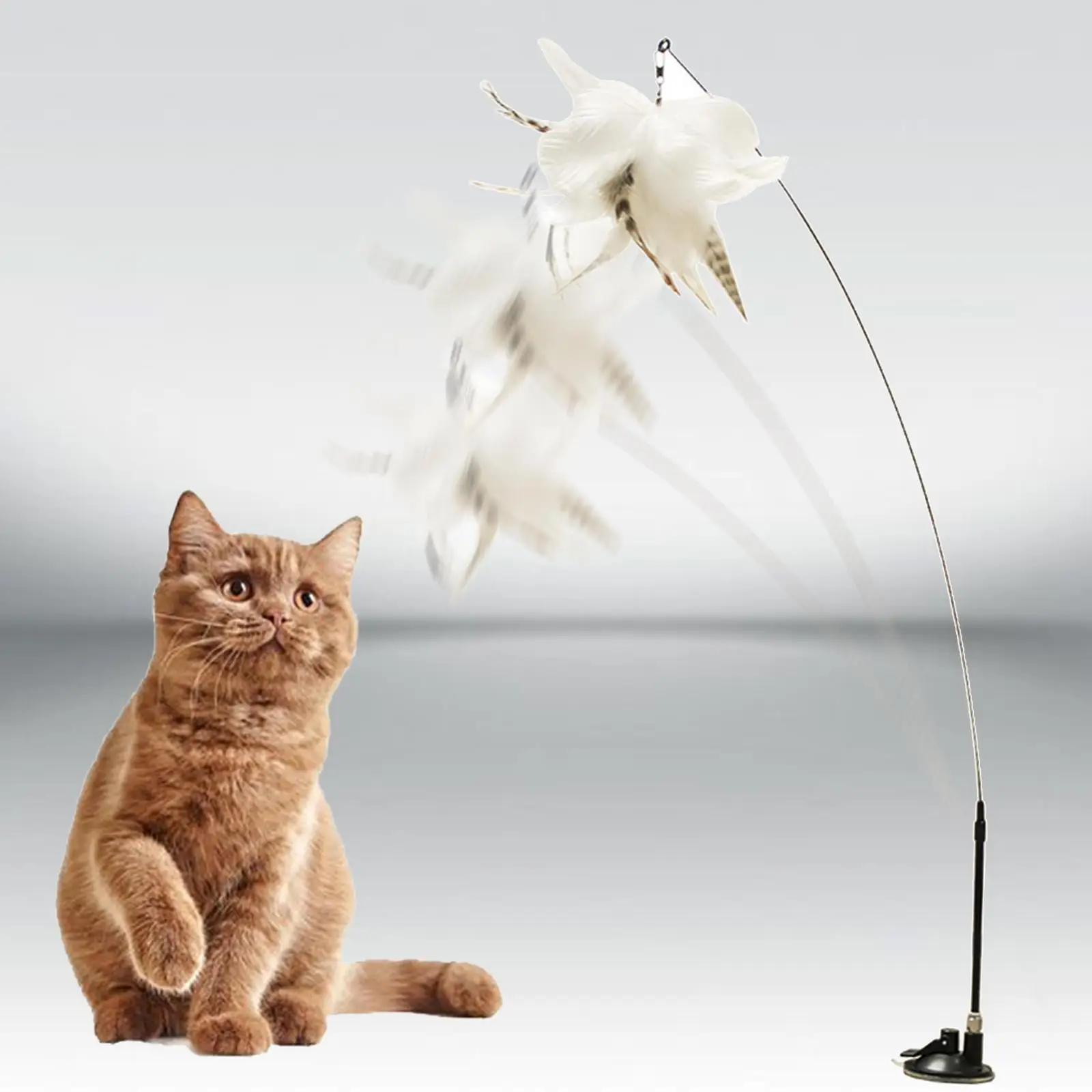 Cat Wand Toy Replacement Feather Adsorbable Sucker Interactive for Indoor