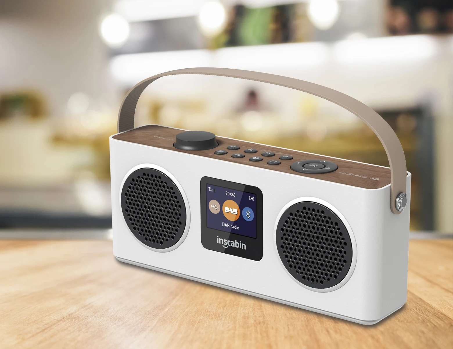 Inscabin M4 DAB Radio Portable Wireless Speaker with Bluetooth, FM/Color Screen/Rechargable Battery/TF/USB