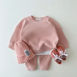 Children Clothing Autumn Winter Warm Clothes Girls Sweatshirt Long Sleeved Waffle Baby Boys Top+Pants Boys Set