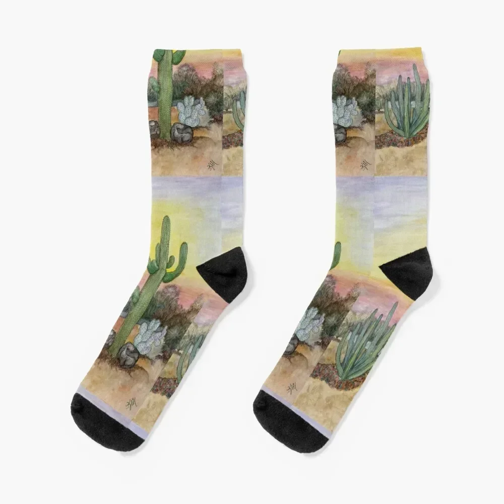 Saguaro Meias aquarela originais meias de luxo de halloween para homens e mulheres