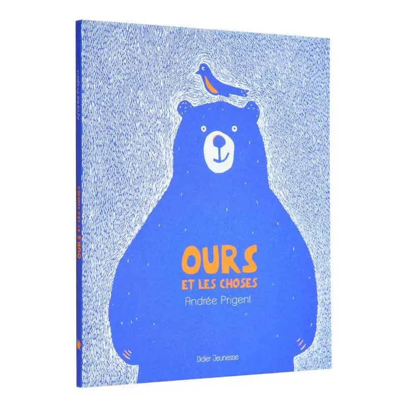 

Ours Et Les Choses Andree Prigent Didier Jeunesse 9782278097937 Книга