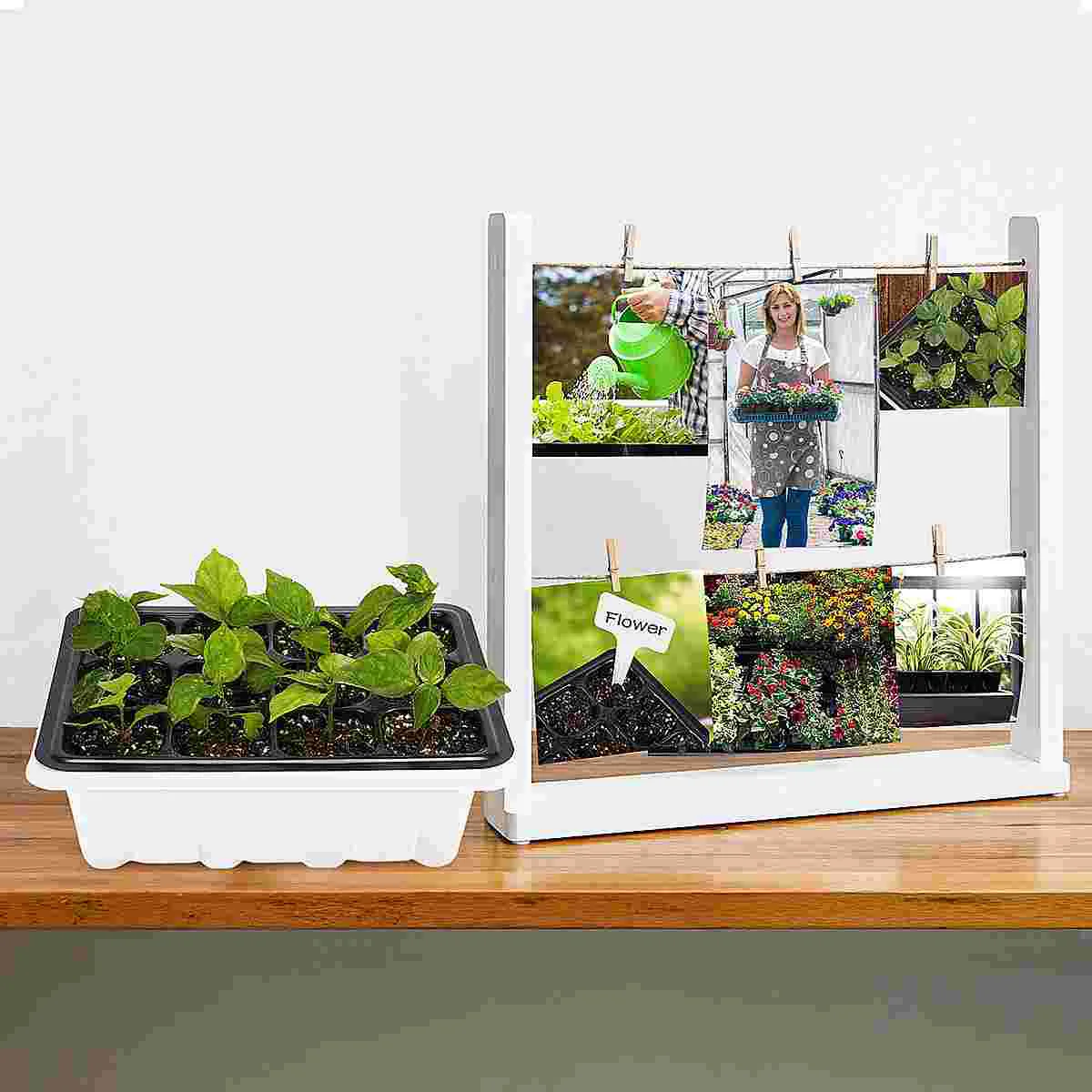 10 pacote bandeja broductor crescente bandejas planta jardinagem suprimentos grower starter bebê