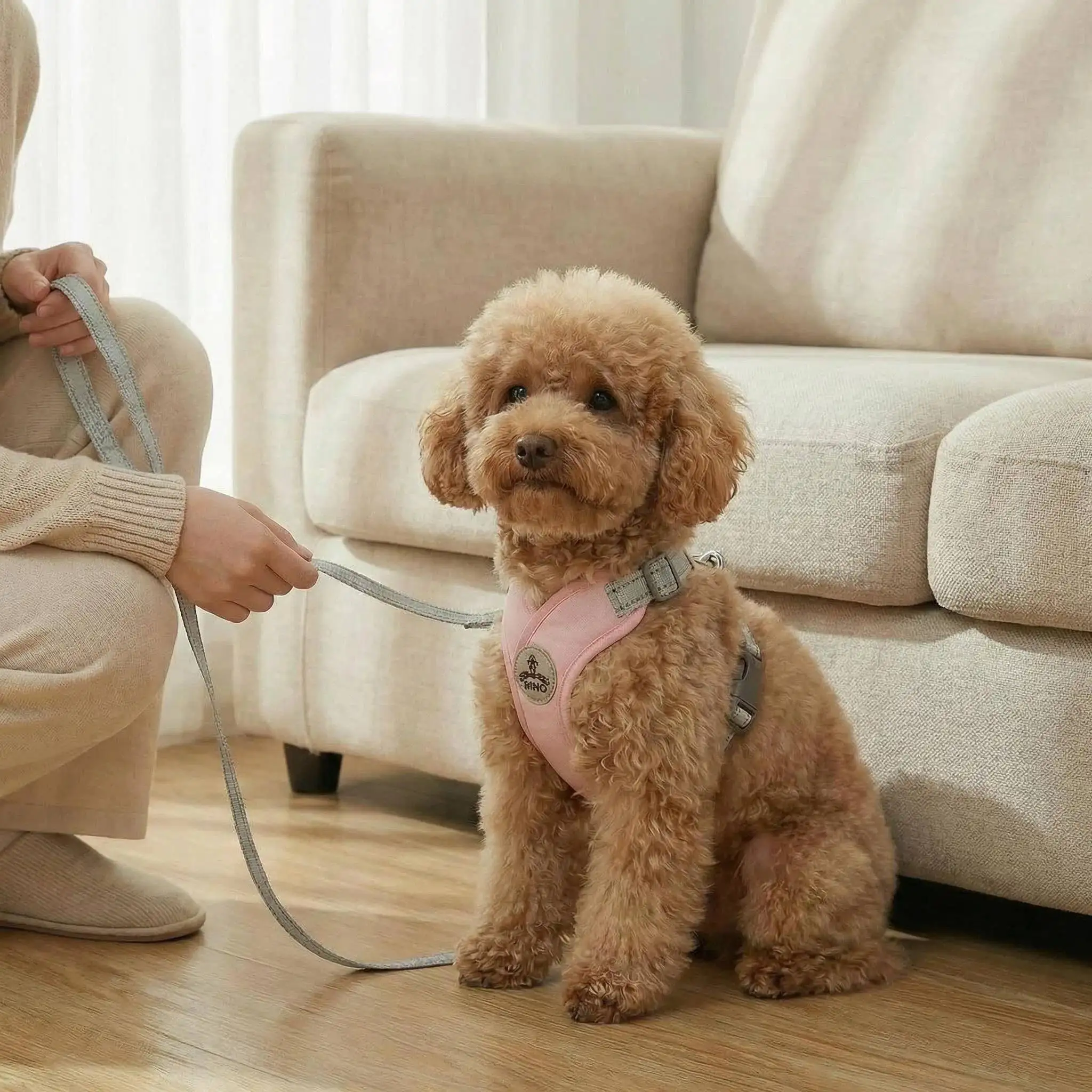 Hundegeschirr und Leine Set für Kleine und Mittelgroße Hunde Outdoor-Spaziergänge Verstellbares Reflektierendes X-förmiges Geschirr Welpen-Haustierzubehör – Detail 17