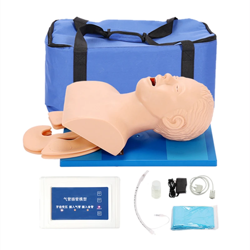 

Electronic human tracheal intubation model J5S adult airway emergency medical care training human model