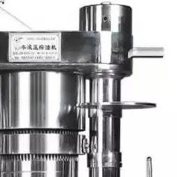 Hydraulic Oil Press Prickly Pear Seed Walnut Almond Macadamia Nut Cocoa Avocado Coconut Olive Hydraulic Cold Oil Press Machine