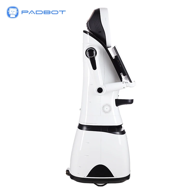 Dual Screen Showroom Guide Best AI Humanoid Roboter Commercial Welcome Robot For Reception