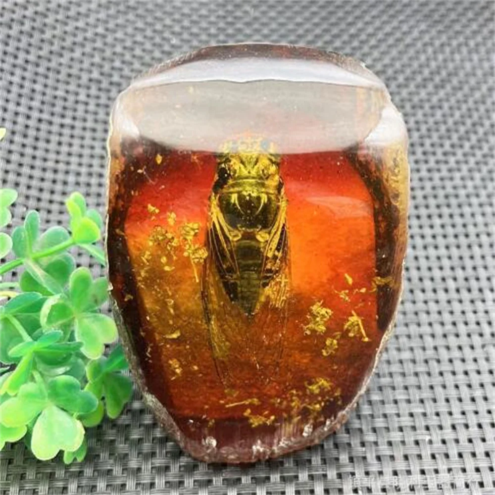 Amber Honey Wax Insect Pet True Insect Specimen Crafts Butterfly Living Room Dressing Decoration Insect Pet Scorpion Golden Cica