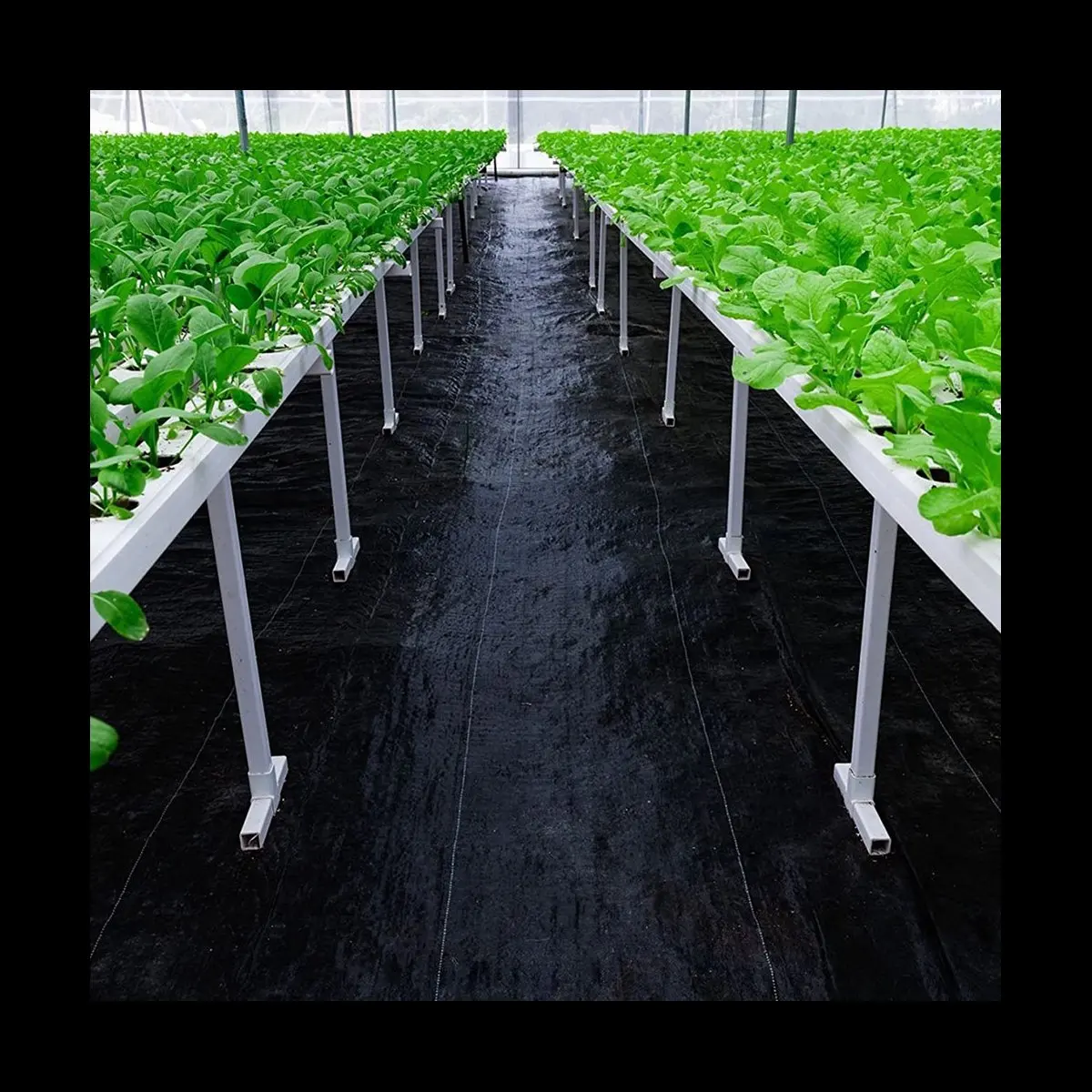 10X Garden Weeding Barrier Landscape Fabric Durable&Heavy-Duty Weeding Block Gardening Mat,4Ft x 50F