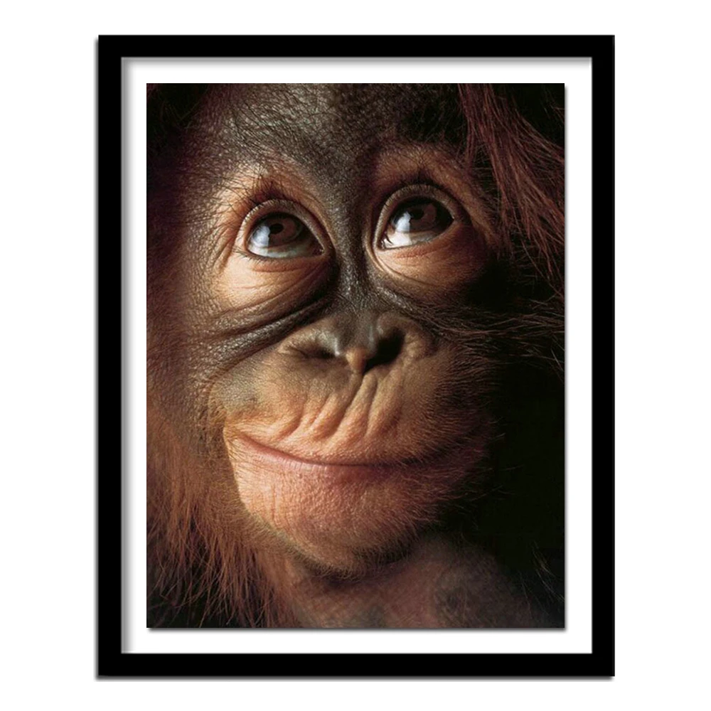 5D DIY round/square Diamond Embroidery Ape Apes Orangutan Chimpanzee Monkey Diamond Painting Cross Stitch Animal Home Decor v351