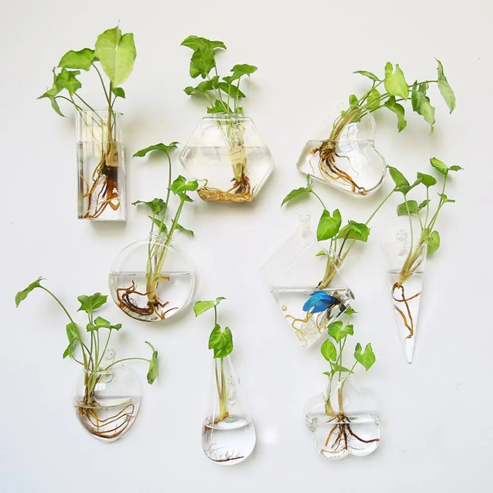 

Настенная ваза в форме конуса, прозрачный стеклянный горшок для аквариума, контейнер для аквариума, гидропоника, ваза для размножения растений