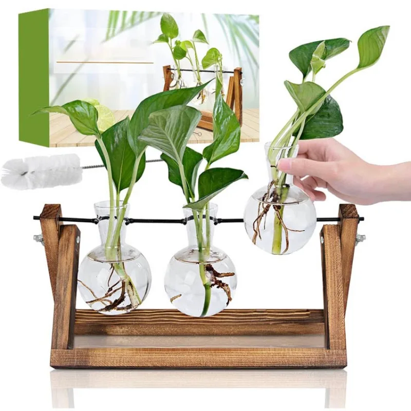 Bamboo wood glass container home office garden decorative flower pot -3 light bulb glass vase environment self watering