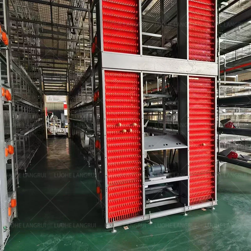 Supply Hot Dip Galvanize Steel Big H Type Chicken Farm Equipment Battery Layer Automatic Chicken Cages With Egg Laying System