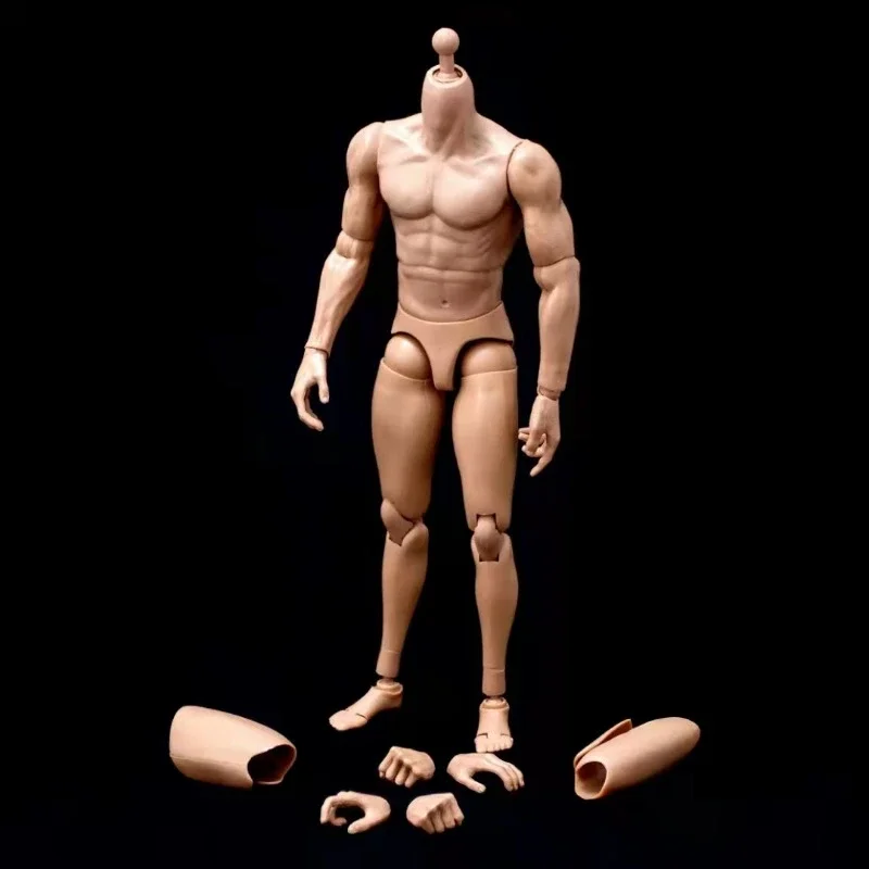 1/6 Scale Male Action Figures Muscle Strong Body Four Types Model for Soldier HT DAM Head Sculpt Toys Accessory Collection