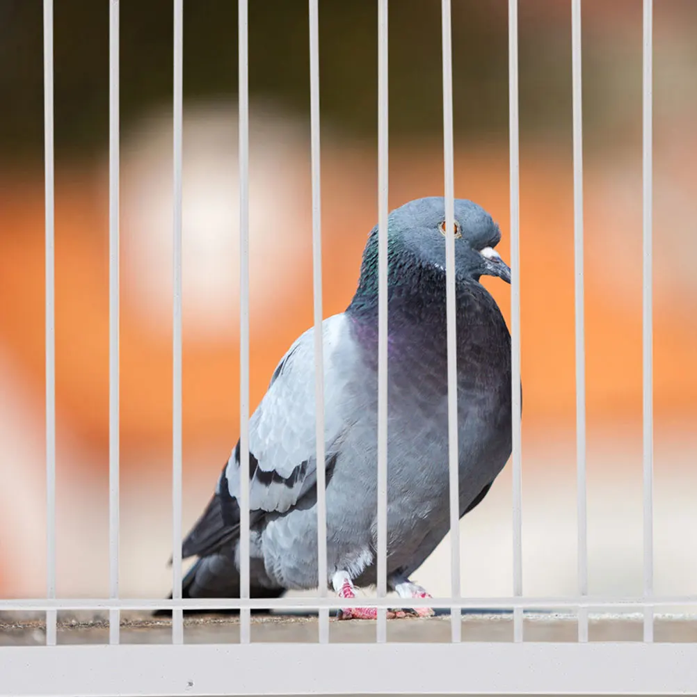 

2pcs Iron Racing Pigeon Trap Door Durable Bird Cage Entrance T-Trap Design For Pigeon Training Racing Supplies