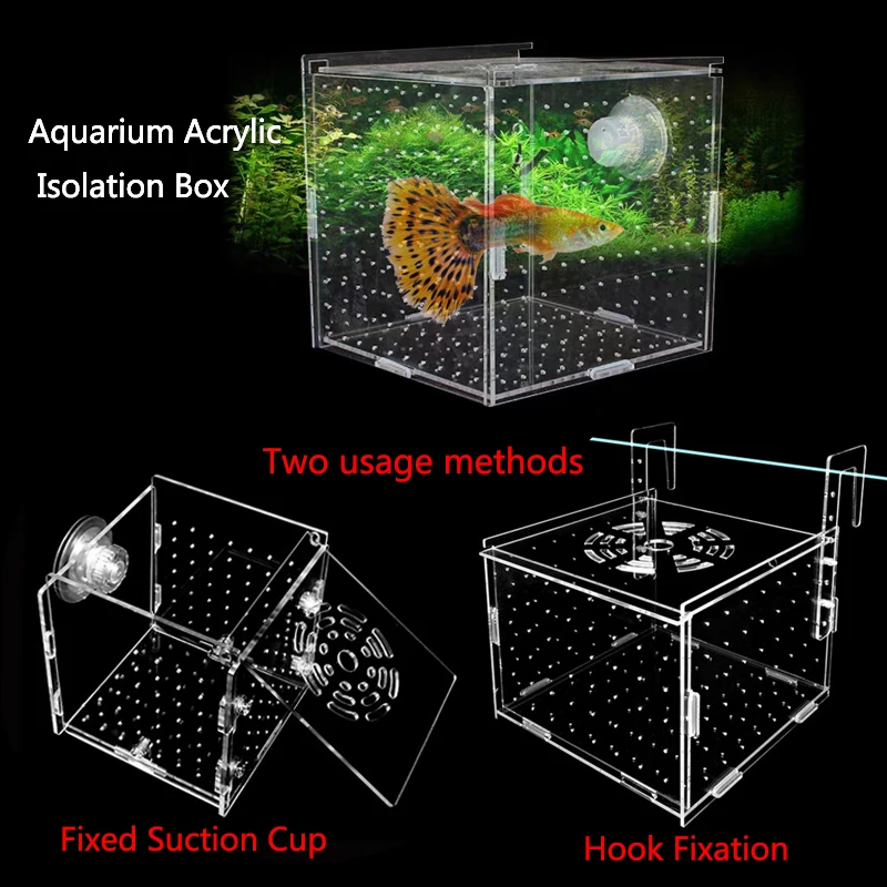 custom acrylic box safe for fish JOBEDE breeding Box, Fish Separation Breeder Acrylic Fish Tank Breeding Isolation Box Aquarium Hatchery Incubator with Suction Cups for Baby Fishes Shrimp Clownfish (6*6*8inch) : Pet Magnetic Acrylic Anemone WEAVERBIRD Fish Breeder Box Clear