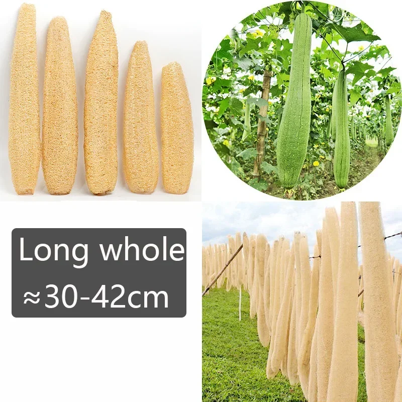 About 30-40cm Whole Natural Organic Loofah Sponges Exfoliating Shower Bath Loofah Luffa Body Scrubbers for SPA Beauty Skin Care