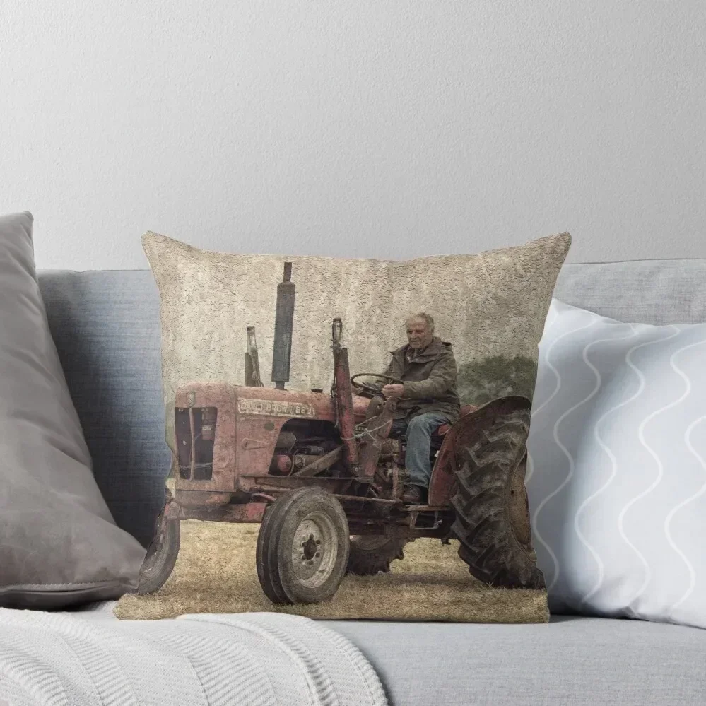 

David Brown 880 Throw Pillow bed pillows luxury covers Cushion Child pillow