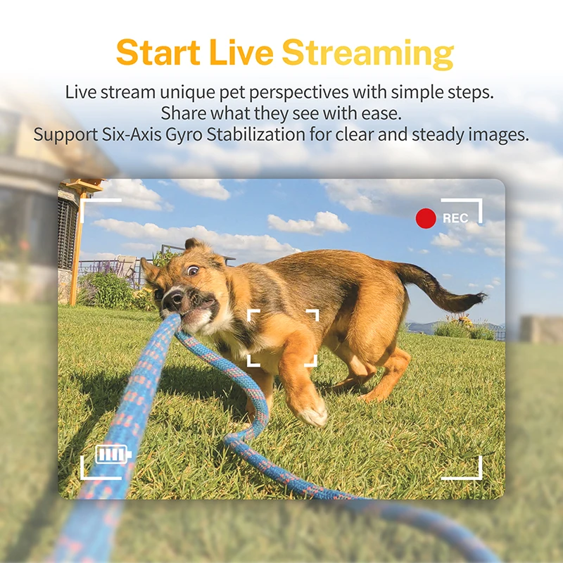 Pet Collar Camera HD Live Video With  Anti-Lost Real Time   Pets Behavior Smart Pet E-Collar