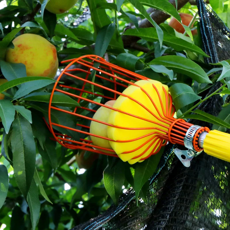 

Detachable Farm Garden Tools Fruit Picker Head Carbon Steel Gardening Greenhouse Fruit Collection Picking Catcher Device