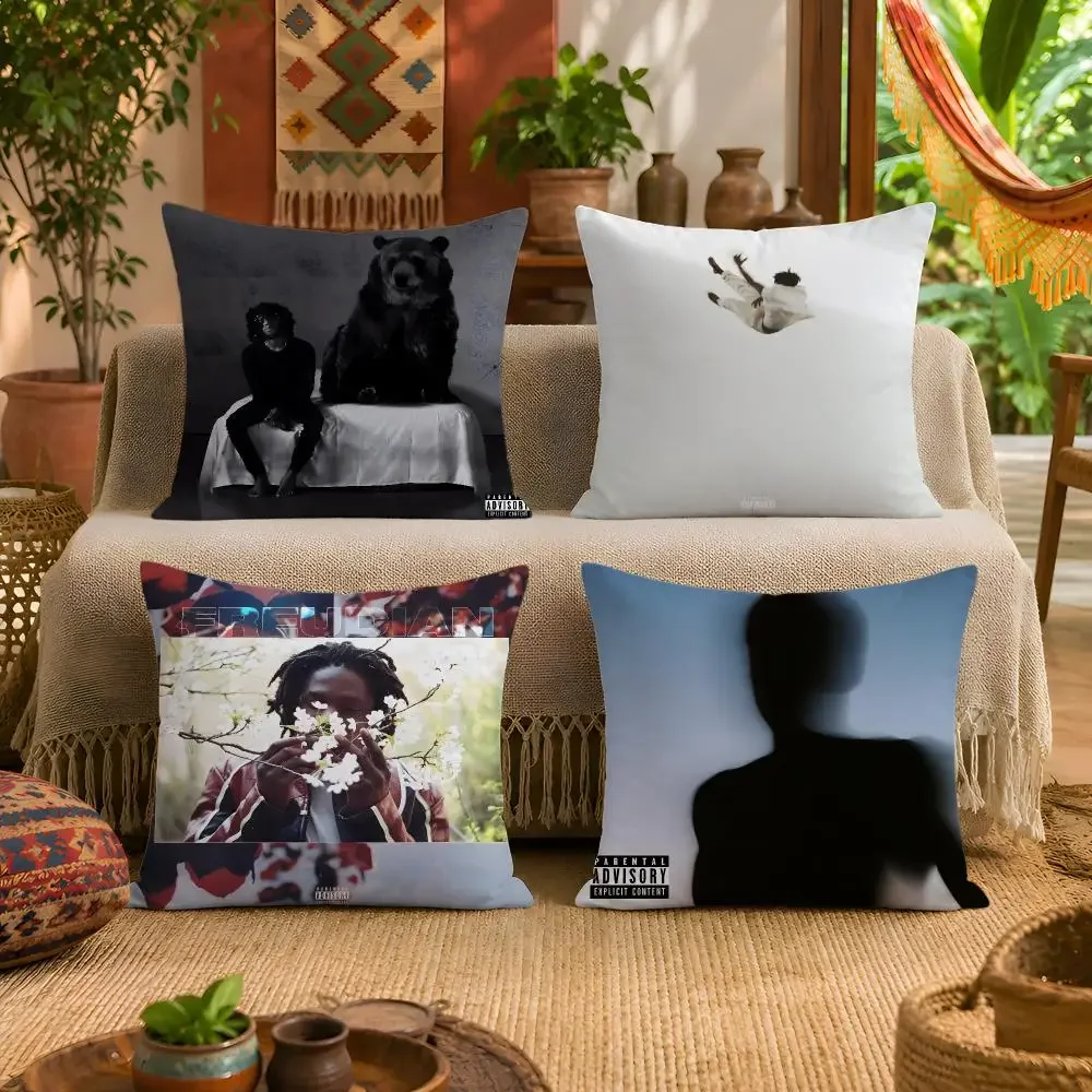 D-Daniel Caesar Never Enough Music Album Tracklist Cushion Cover Pillow Cover Fuzzy Removable Washable Sofa Bed Bedroom Decor