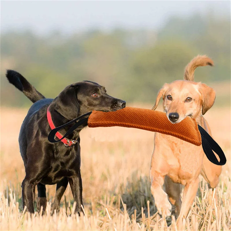 Durable Dog Bite Stick Creative Dog Tug Toy Non-slip Wear-resistant Pet Dog Training Sleeve Toy