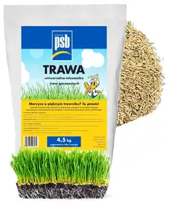 12 최고의 판매 야채 씨앗 - №3