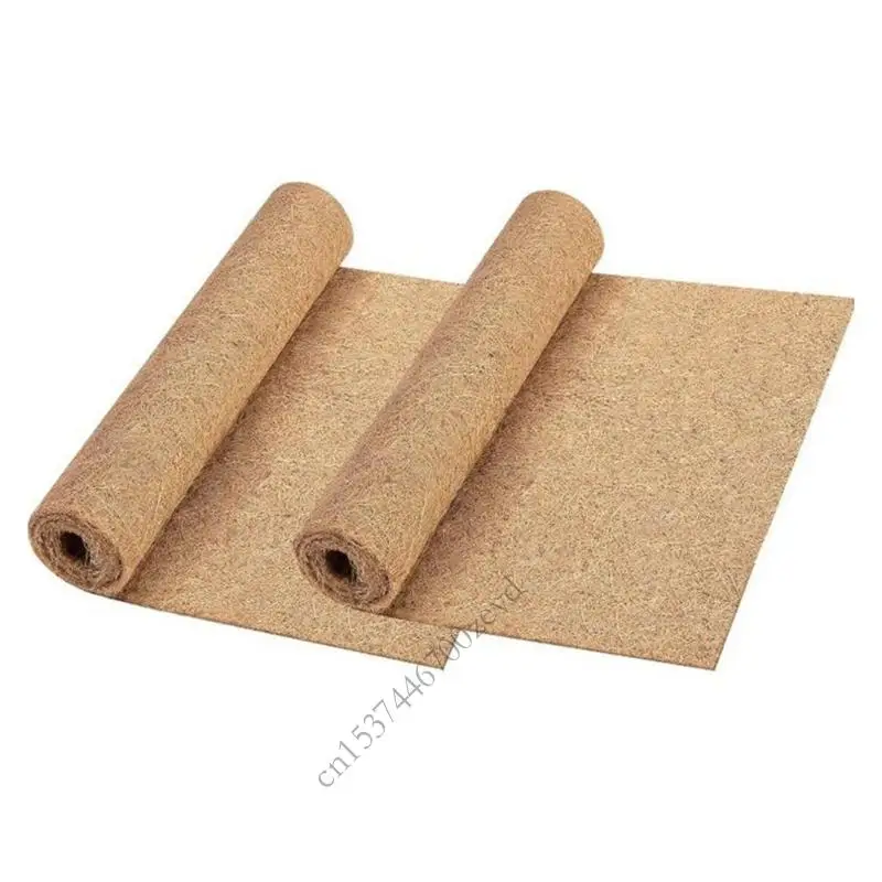 

Хэллоуин Кокосовый кокосовый швейцар с тыквенным веб -дизайном.