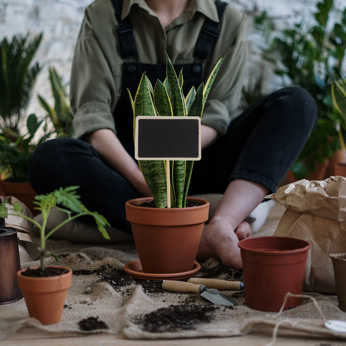 

20Pcs Wooden Mini Chalkboard Toppers Blackboard Signs for Garden Plant Tags Wedding Party Decoration Mini Chalkboard Toppers
