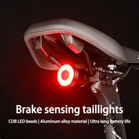 Smart Bike Tail Light,Brake Sensing Bicycle Rear Lights for Night Ride,Bike LED Back Lights,Type C Rechargeable,IPX5 Waterproof