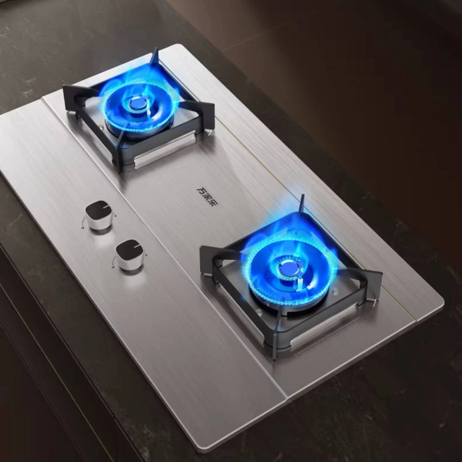 

Двухконфорочная газовая плита из нержавеющей стали, встраиваемая, для природного и сжиженного газа, для домашней кухни