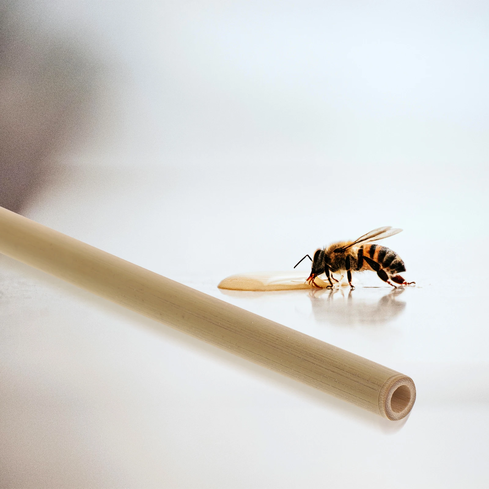 

20pcs Bamboo Bee Tubes Nesting Tubes For Beehives Replacement Diy Bee Houses Outdoor Beekeeper Supplies Garden Tool