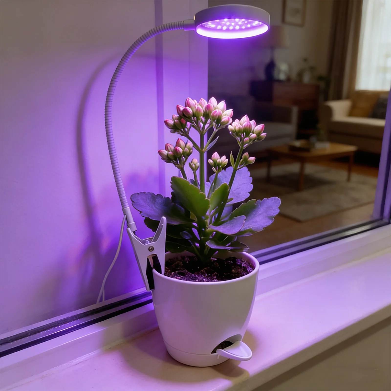 Grow Light For Indo…
