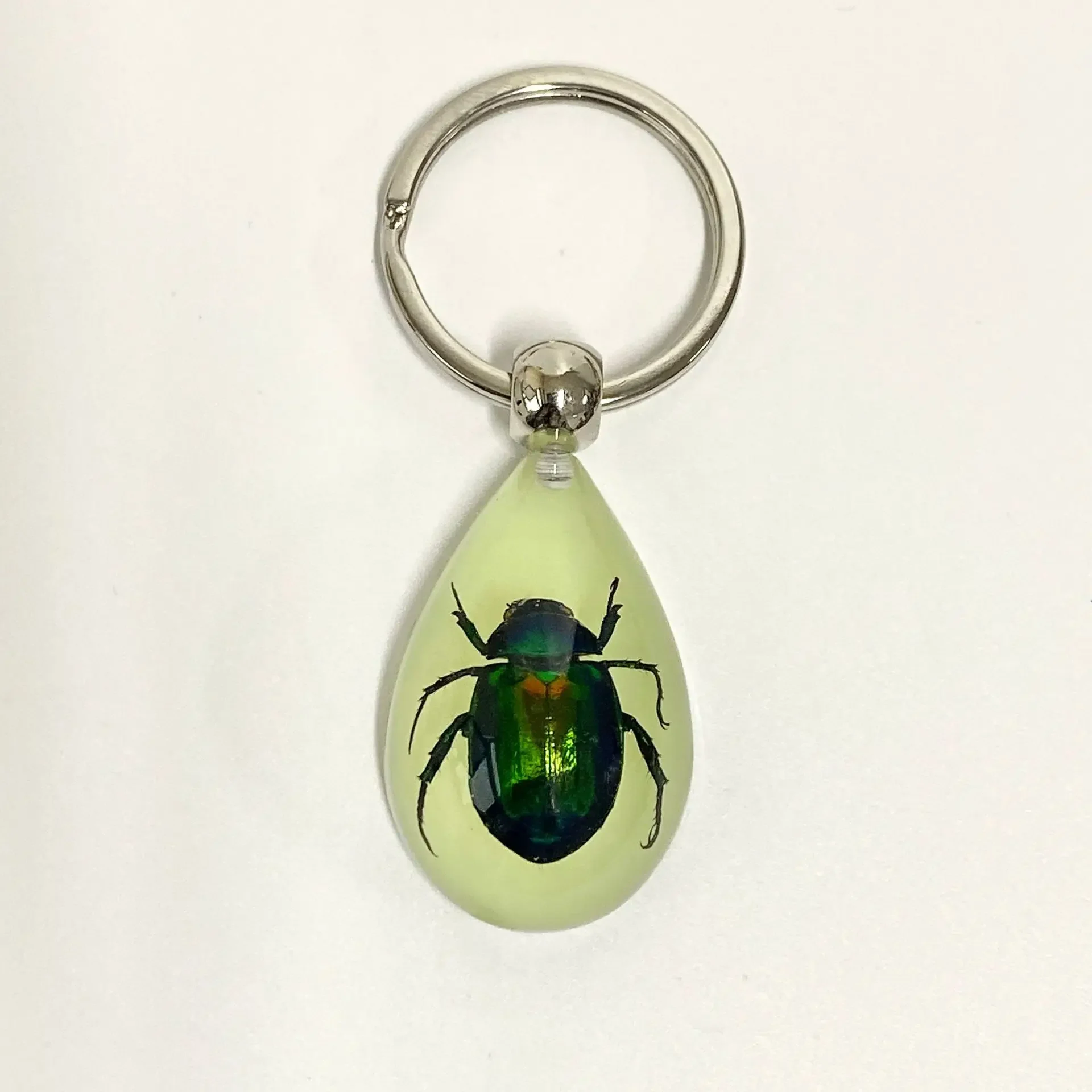 6 stuks insect specimen sleutelhanger, kunstmatige epoxyhars auto hanger, kantoorornament, insect amber hanger woondecoratie