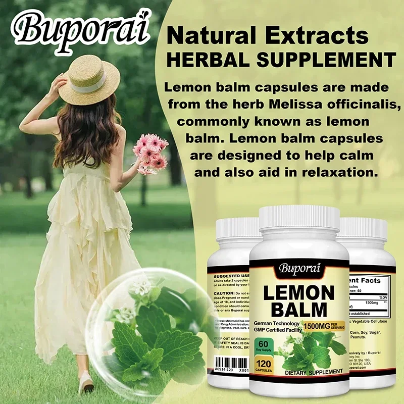 Lemon Balm - Improve Mood and Brain Health, Relieve Stress, Improve Digestion