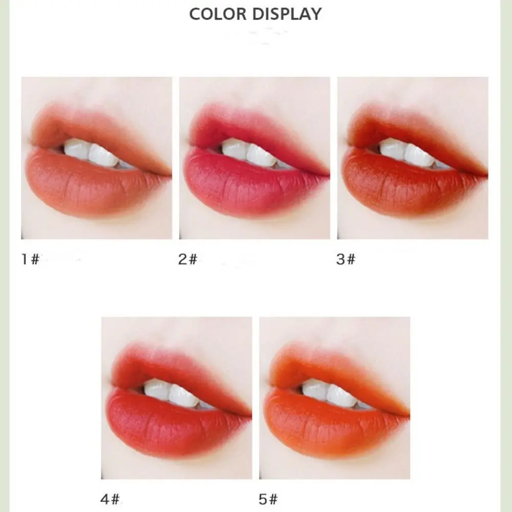 5pcs Natural Makeup Set Mini Lipstick Set Waterproof Non-stick Cup Matte Lipstick Soft Mist Long Lasting Velvet Lip Gloss Women