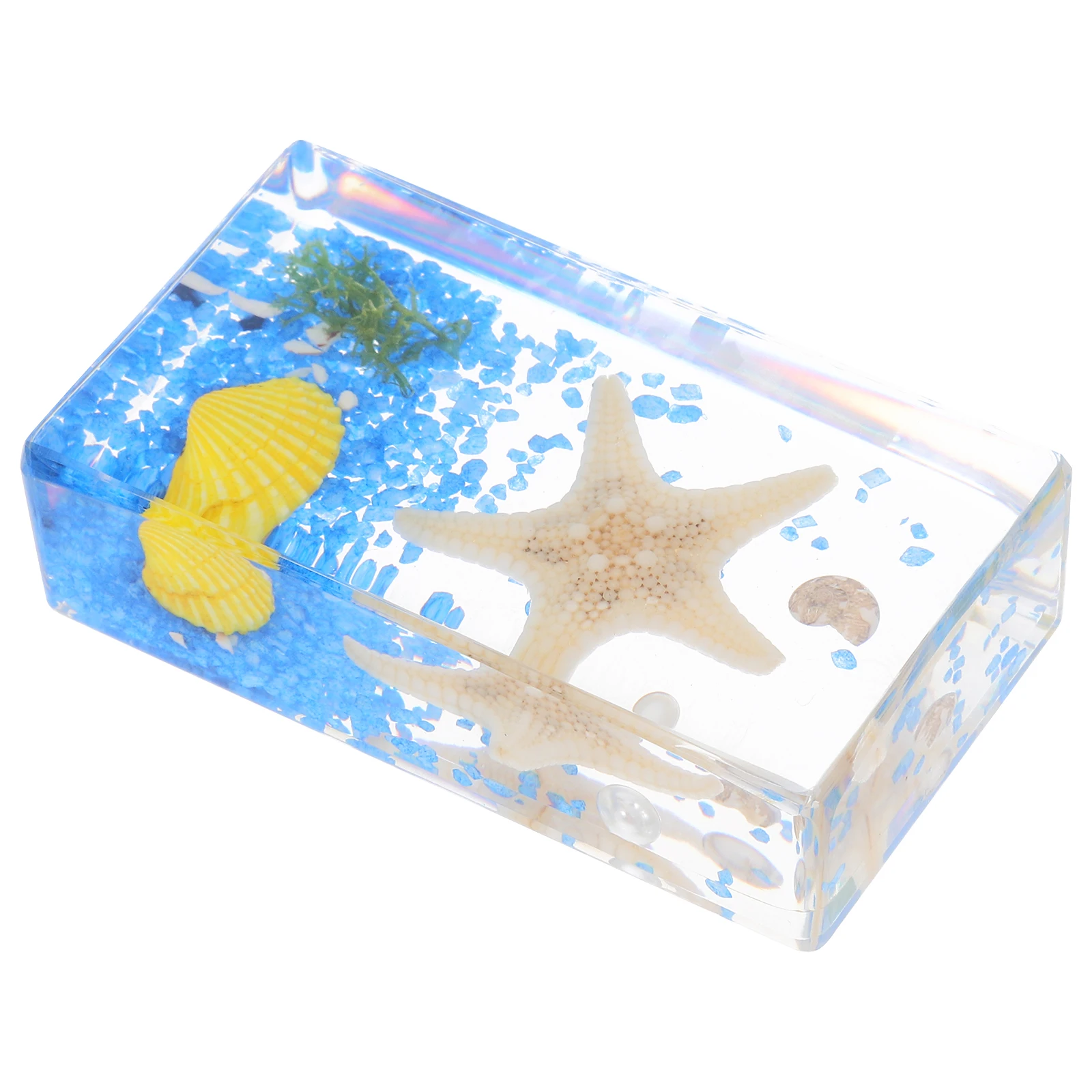 

Ocean Specimen Resin Sea Animal Paperweight Marine Educational Toy Classroom Teaching Tool Kids