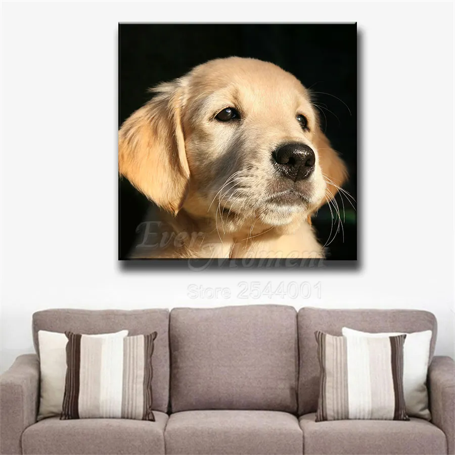 Ever Moment Diamond Painting Modern Canvas Mosaic Handmade Wall Decoration Pet Puppy Dog Golden Retriever Needlework DIY ASF2380